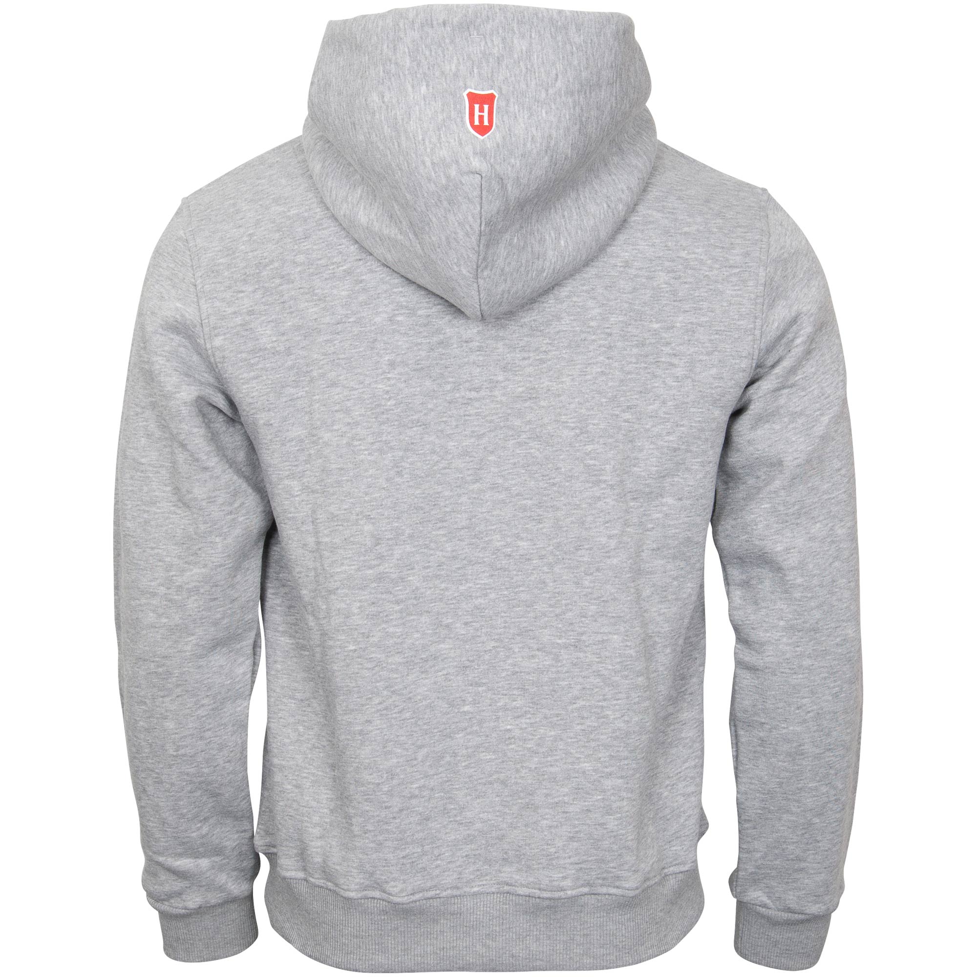 Holsten - Kapuzenpullover Holsten Ritter - grau